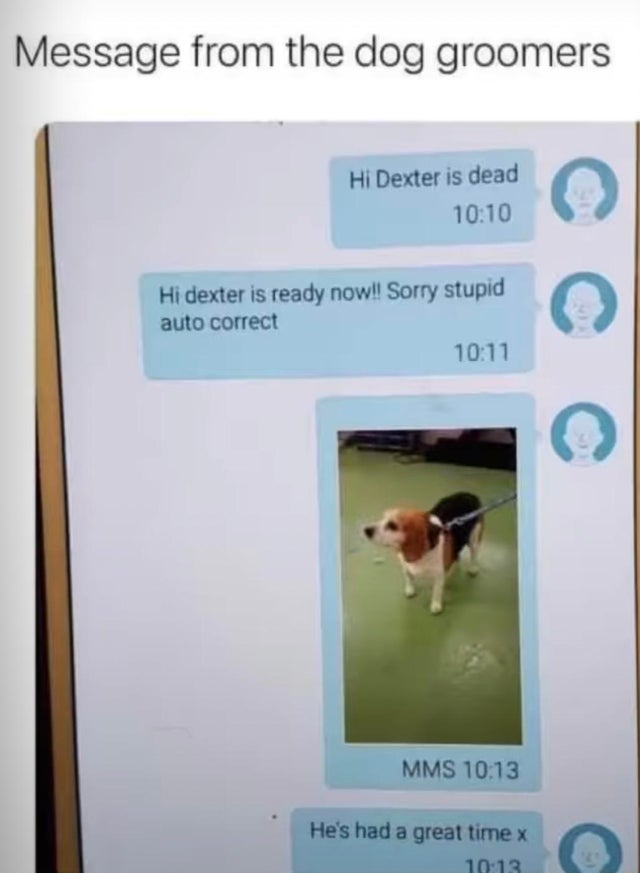 This dog groomer’s most unfortunate autocorrect is a proper hall of famer