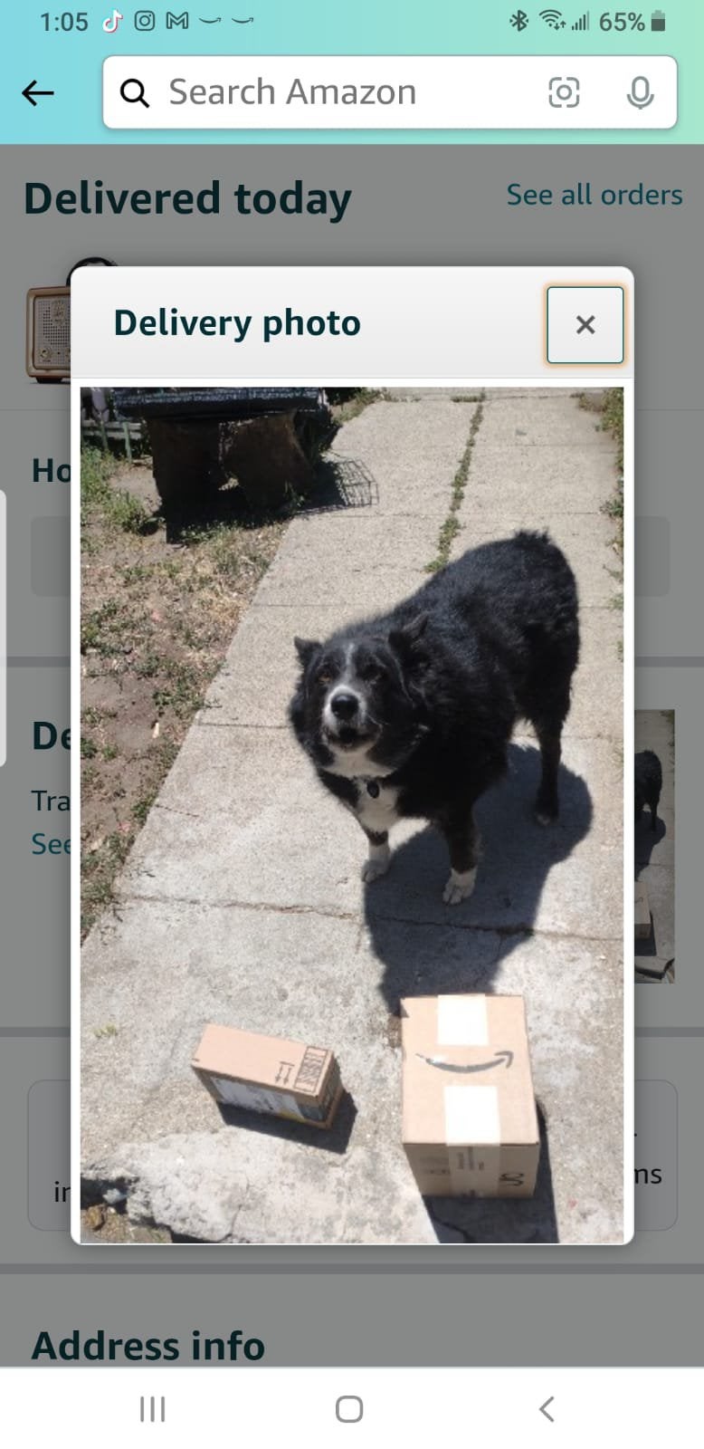 The Amazon guy went the extra mile with this ‘delivered direct to family member’ photo