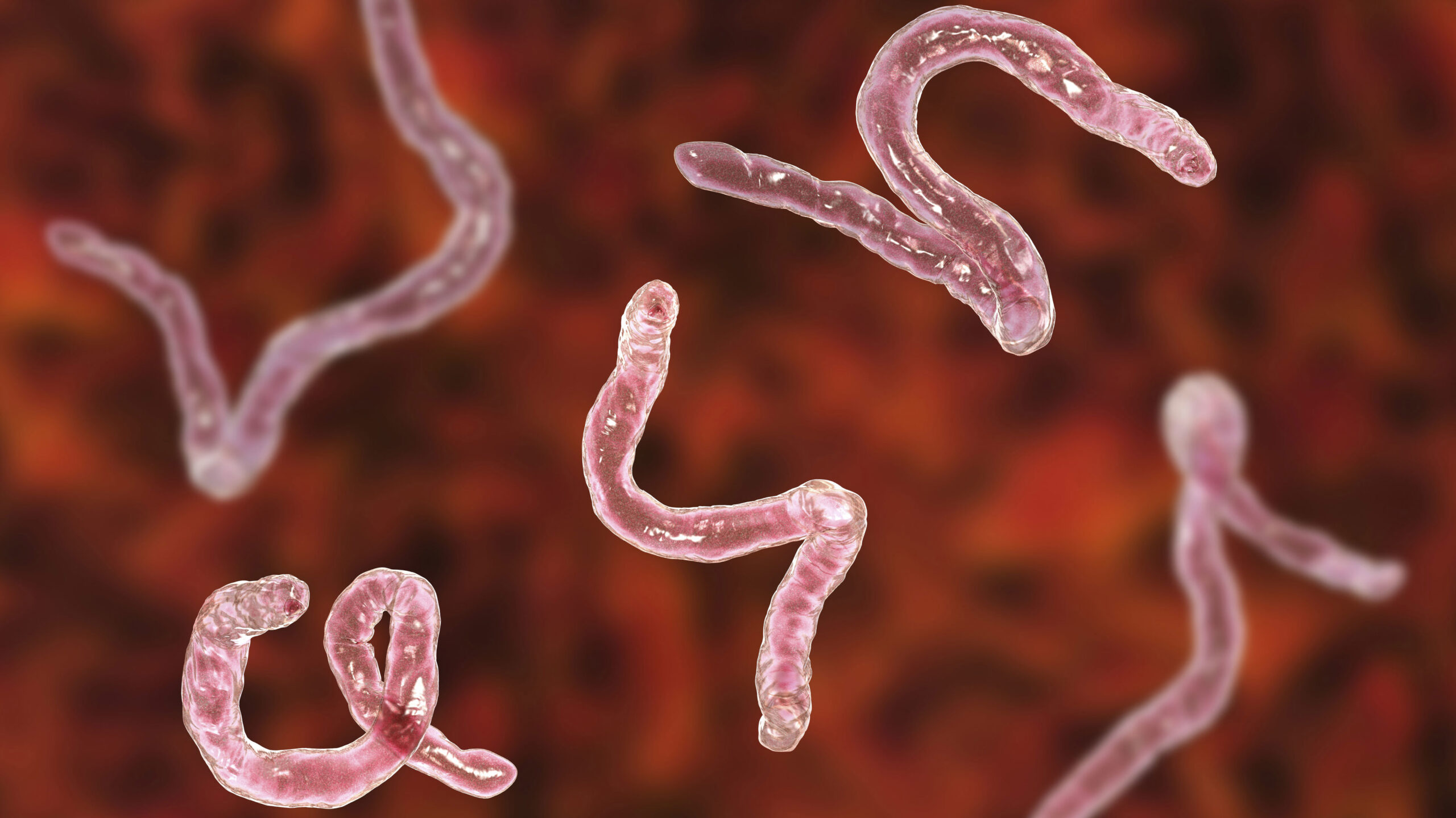 TGA warns against ‘illegal and unsafe’ new health trend