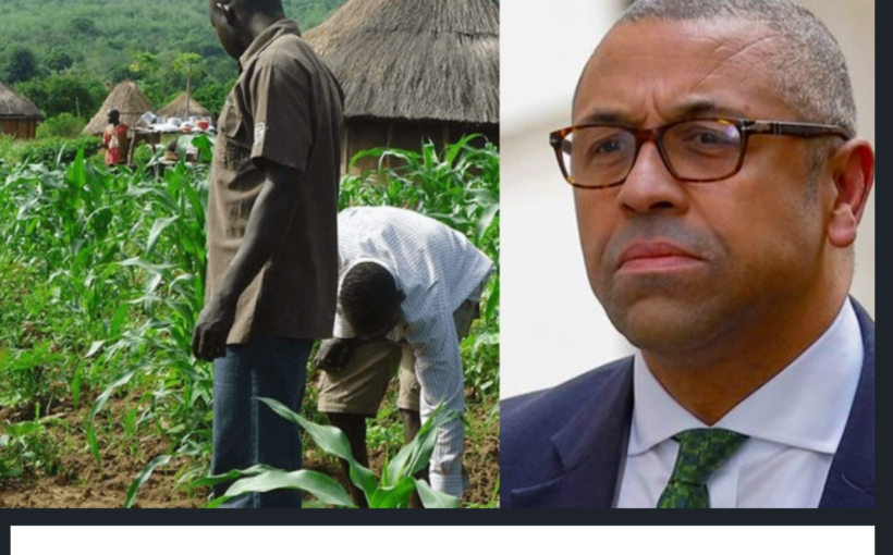 UK to Assist Over 4 Million Become Better Farmers in Nigeria