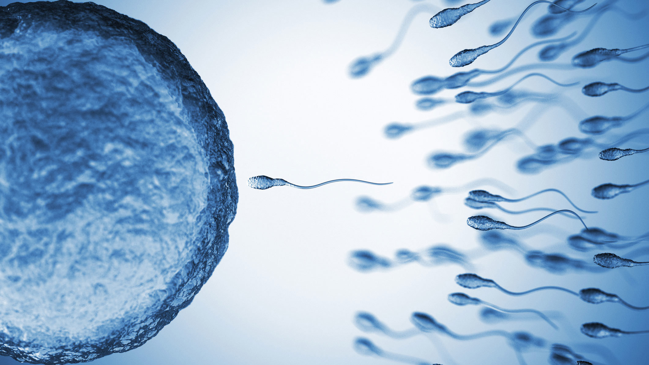 The little-discussed pattern in male sperm counts