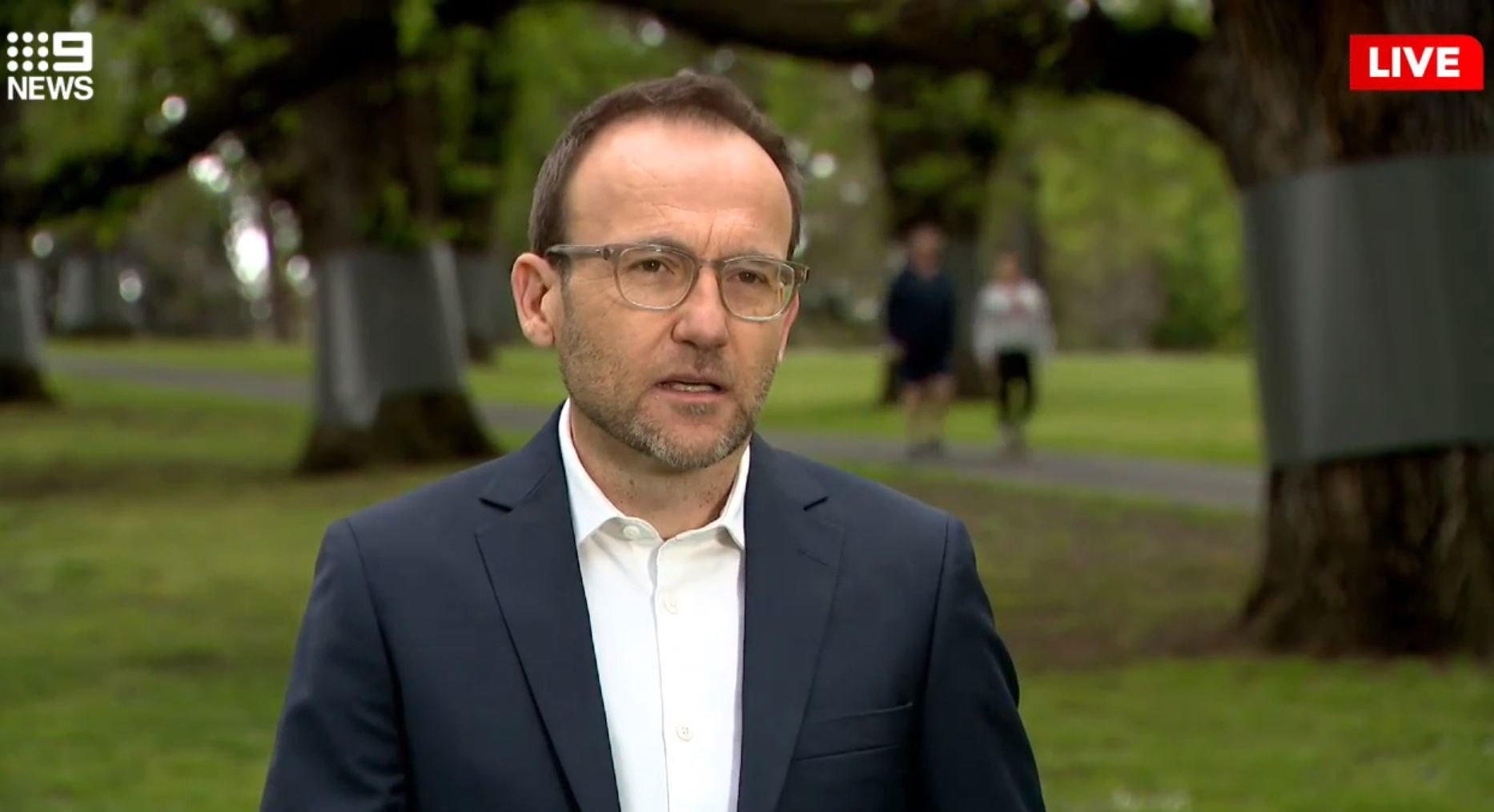 Greens call for truth and justice commission after Voice referendum defeat