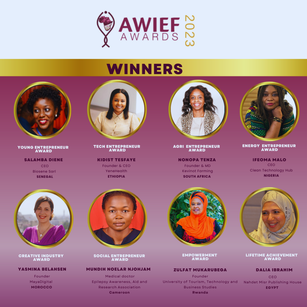 Ifeoma Malo, Salamba Diene, Zulfat Makarubega Among AWIEF 2023 Awards Winners