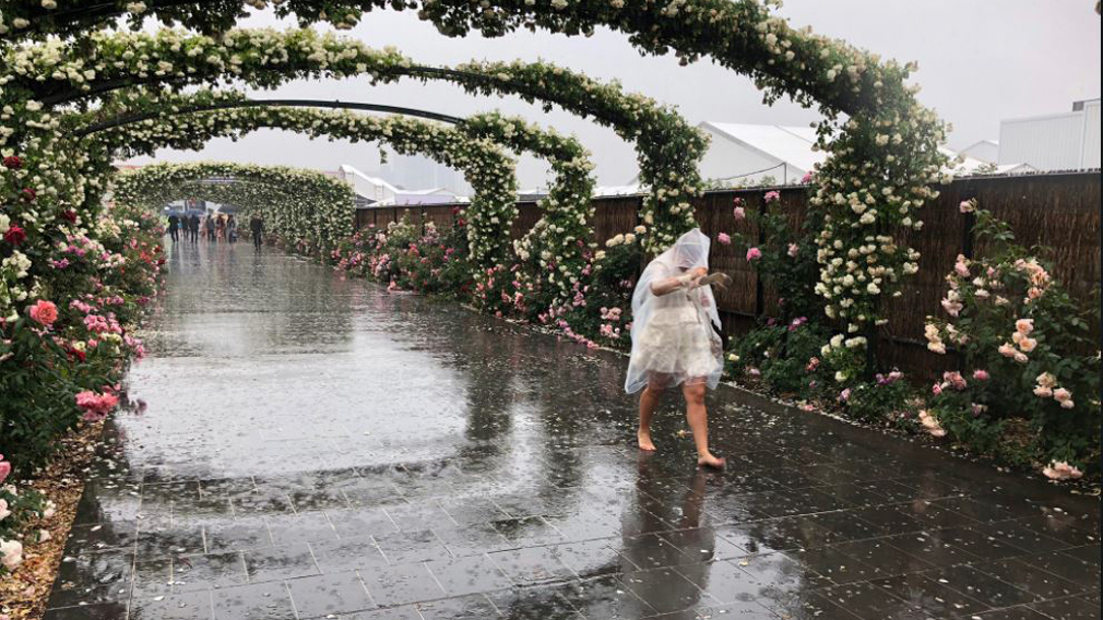 Rain and storms could be on the cards for Melbourne Cup Day