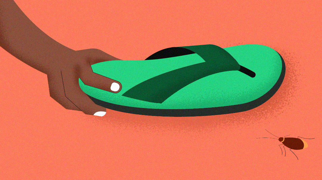 Why You Should Learn From Cockroaches