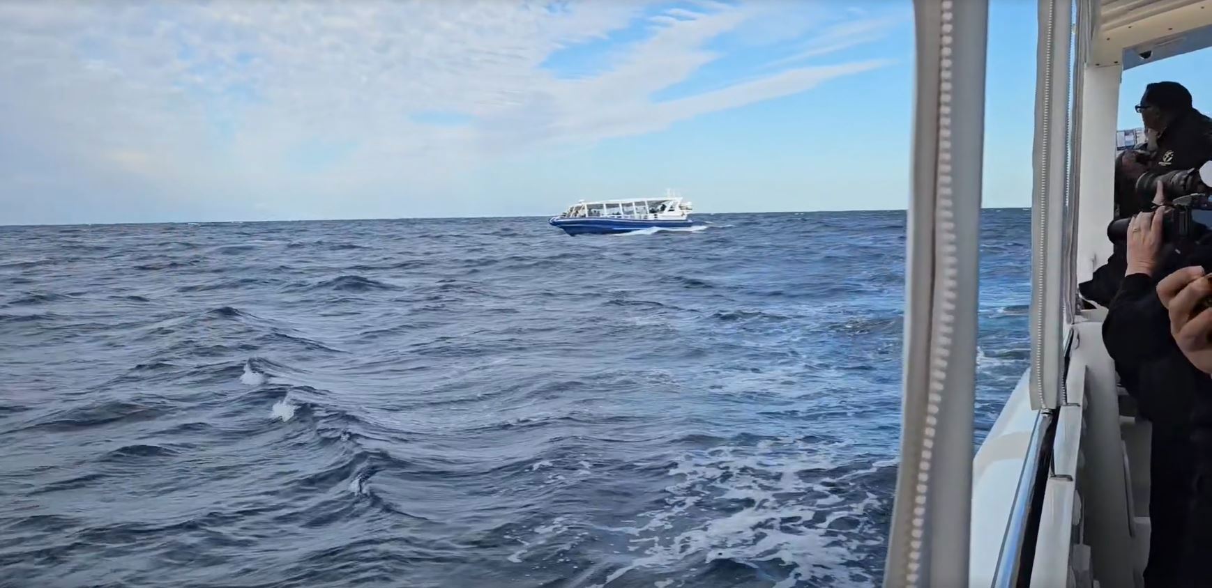 Tourist rescued after falling overboard from whale watching boat