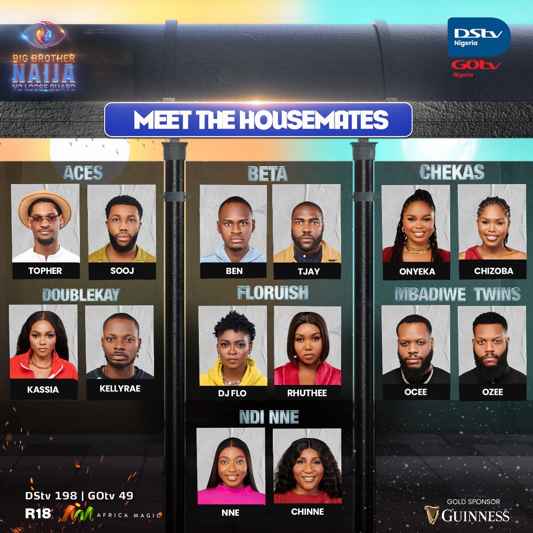 Age, hobbies, ambition; here’s all you need to know about BBNaija No Loose Guard Housemates