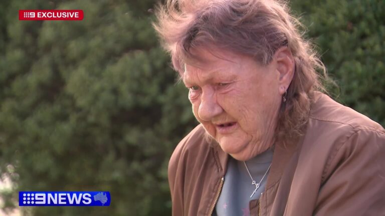 Victoria Police officer stood down after allegedly punching 70-year-old ...