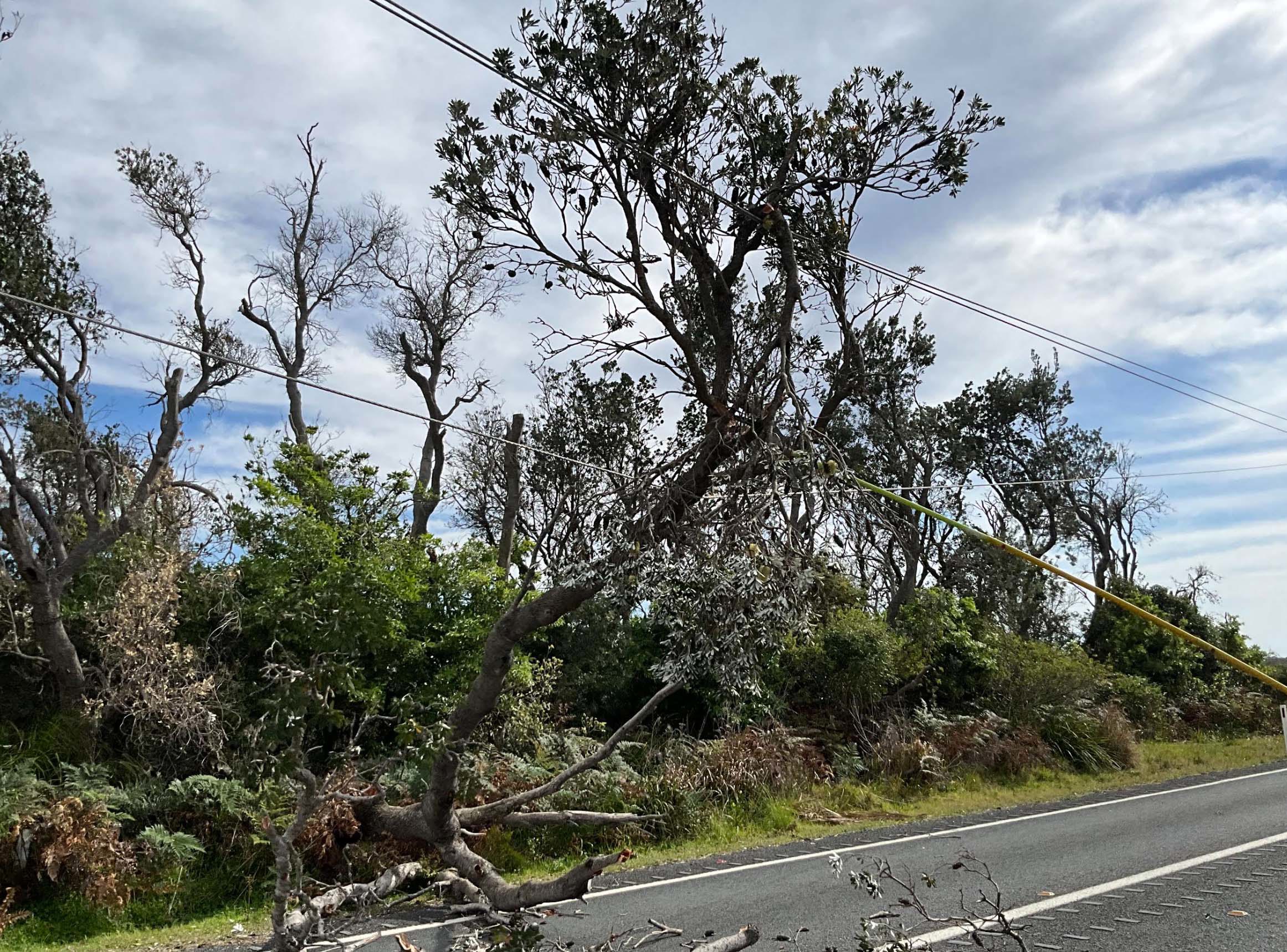 Almost 6000 homes without power as wild weather smashes Victoria