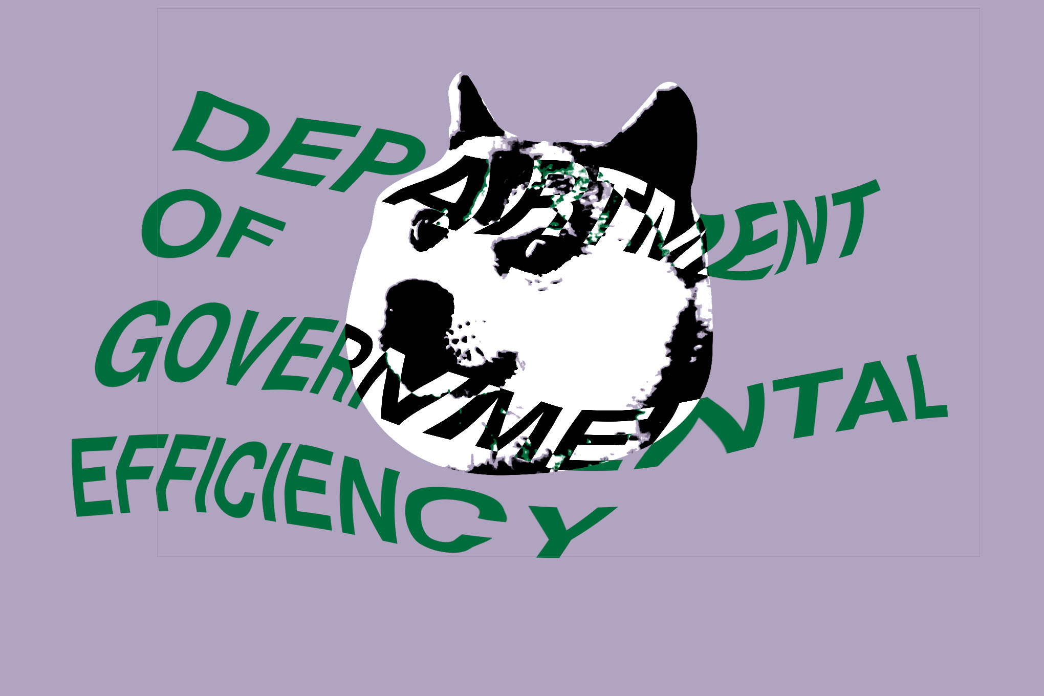 DOGE is trying to access the IRS’s data on millions of taxpayers