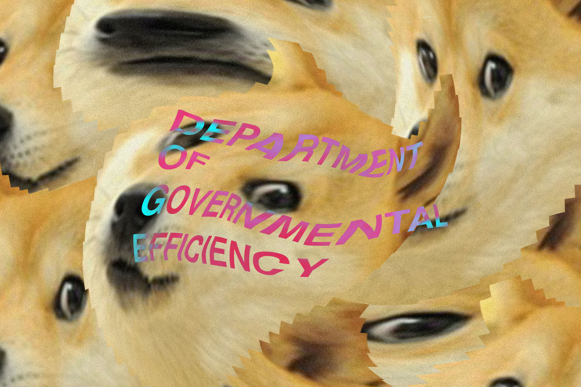 Elon Musk’s DOGE website has been defaced because anyone can edit it