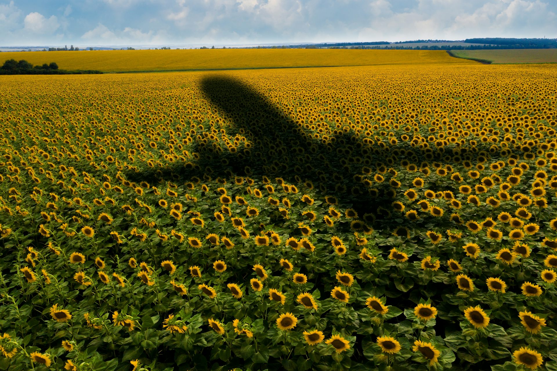 There isn’t enough ‘sustainable’ aviation fuel to make a dent in our emissions – and there won’t be for years