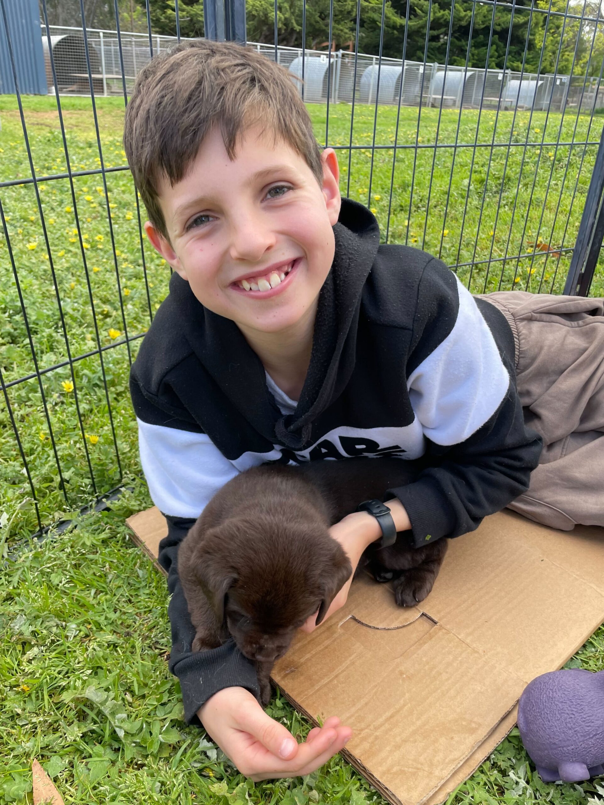 Driver charged over 11-year-old’s tragic schoolyard death