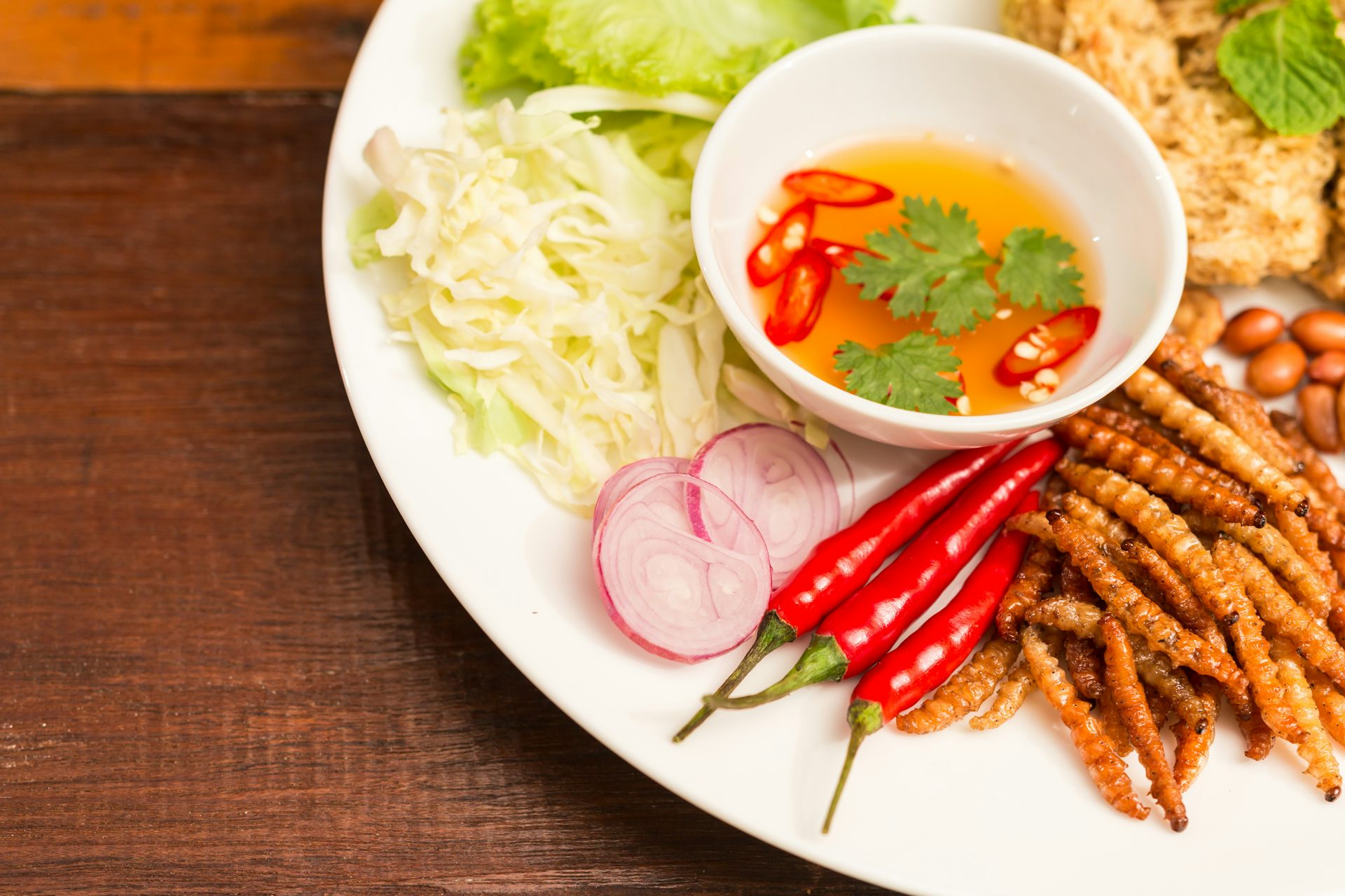 Insect protein could support healthy ageing and fight climate change