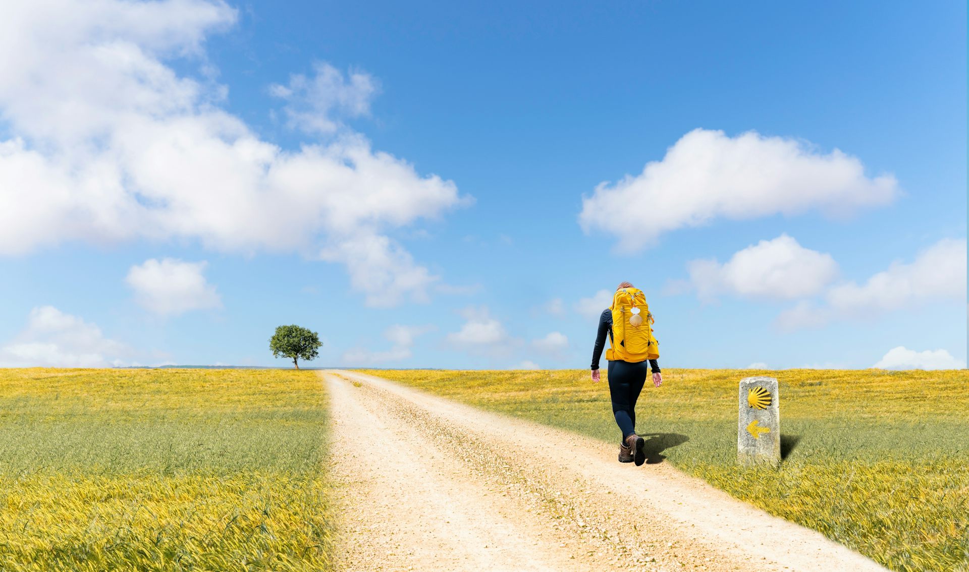 Want to walk the Camino de Santiago pilgrimage? Leave your phone at home