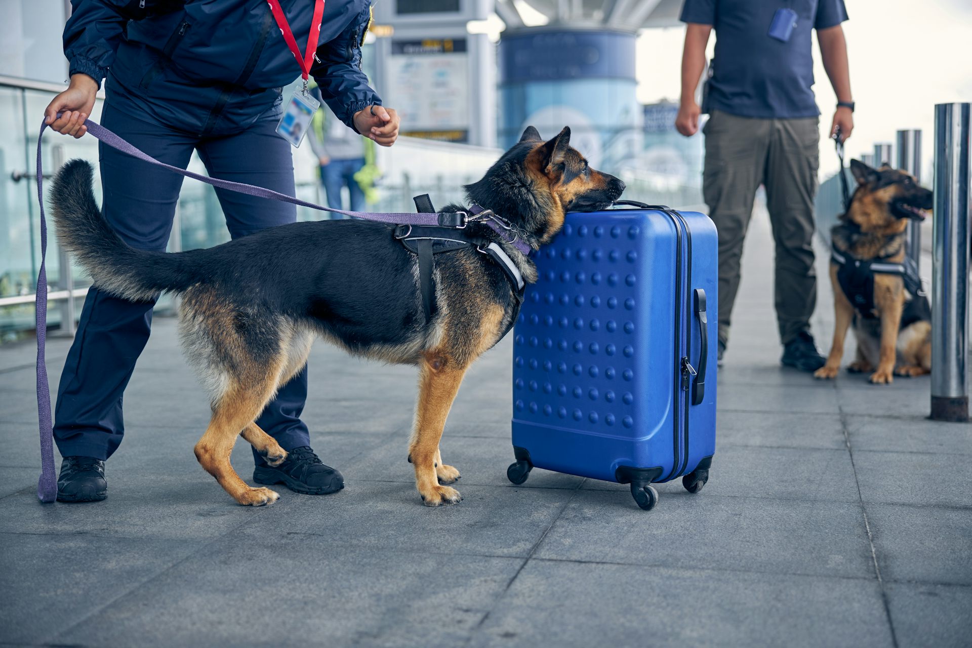 Going on holiday? What you need to know about taking your meds with you