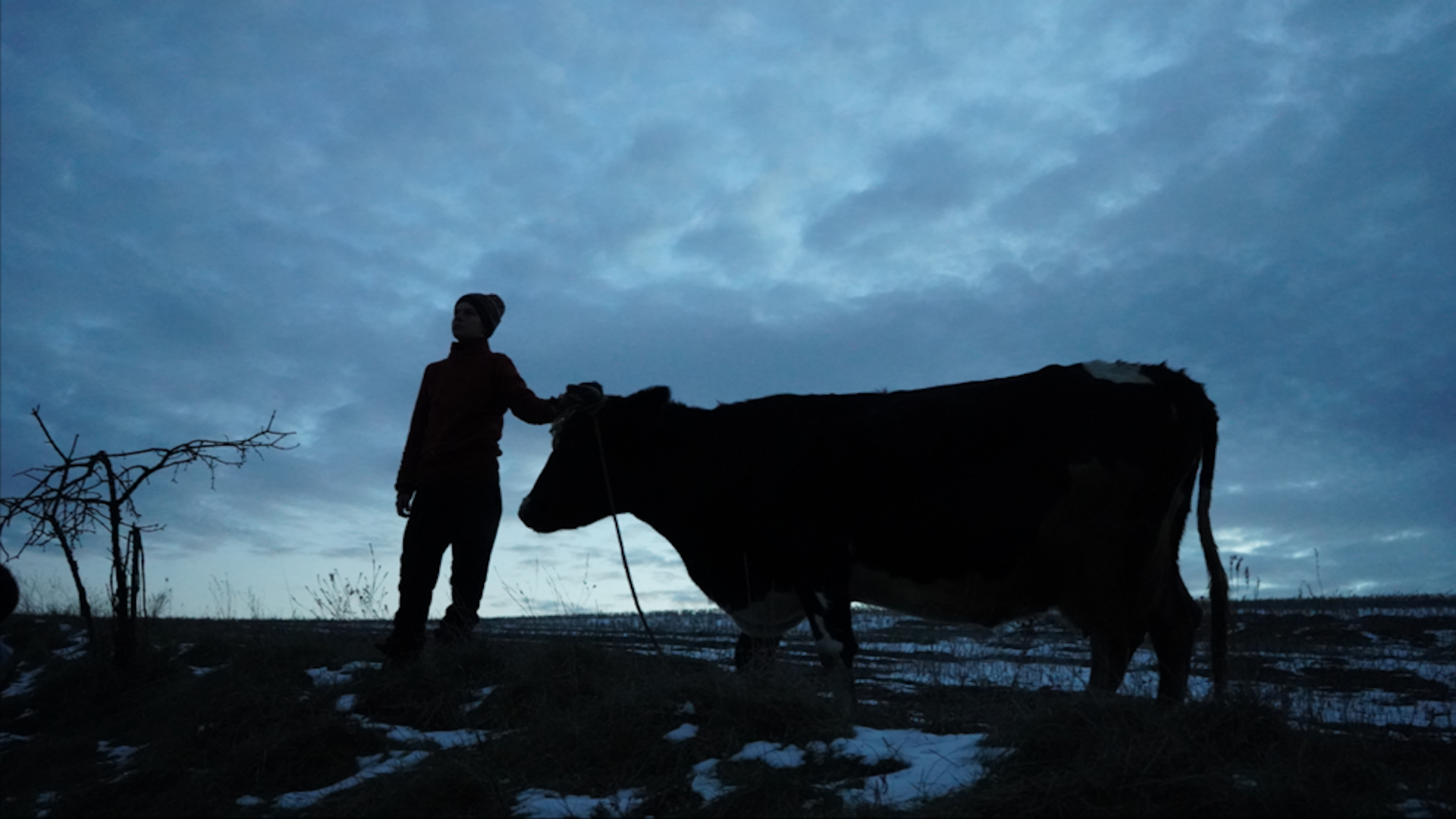Sound recordings can give us an animals’ eye view of the war in Ukraine