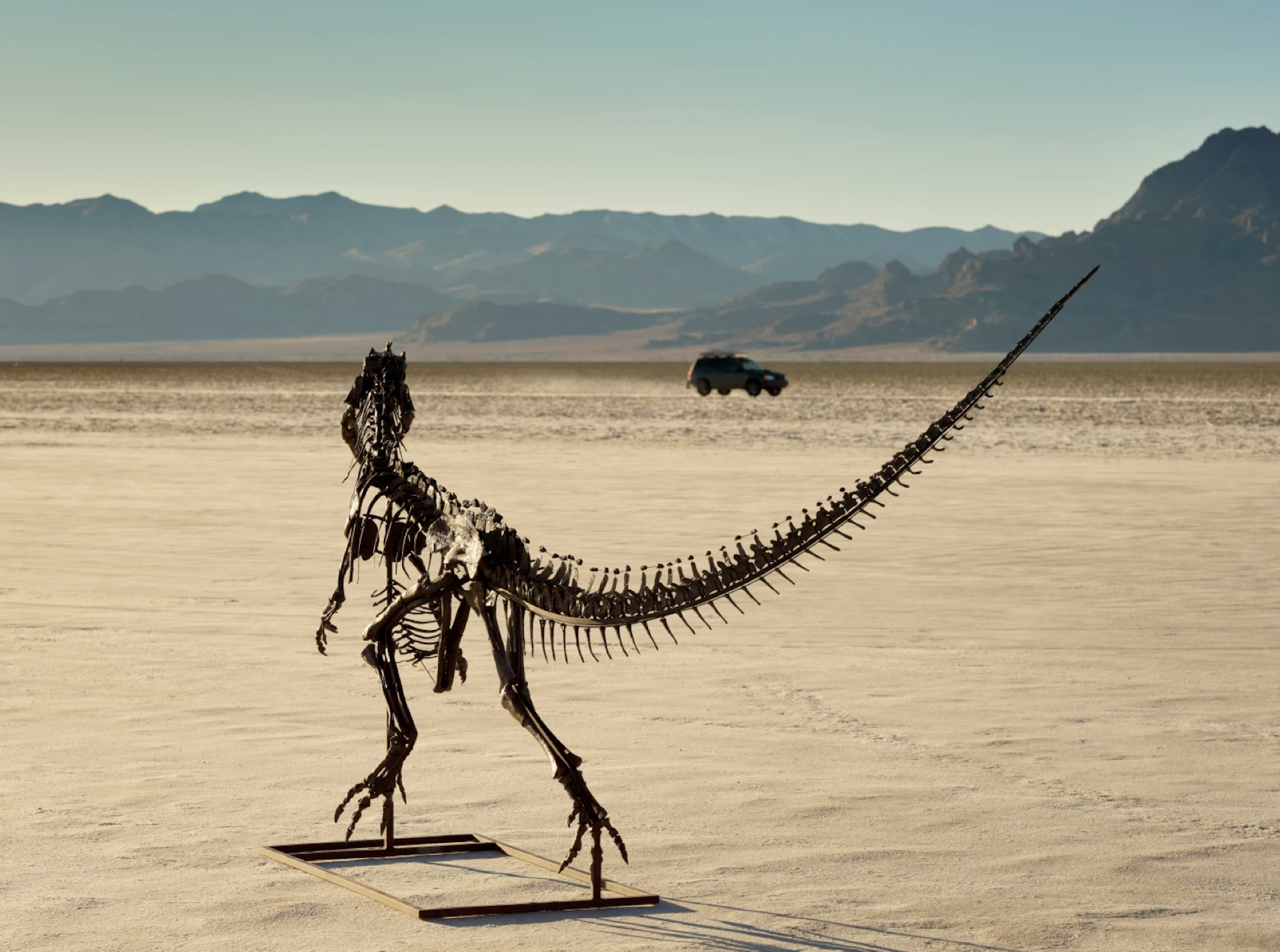 Why it’s not a problem that dinosaurs are sold for millions of dollars – art historian